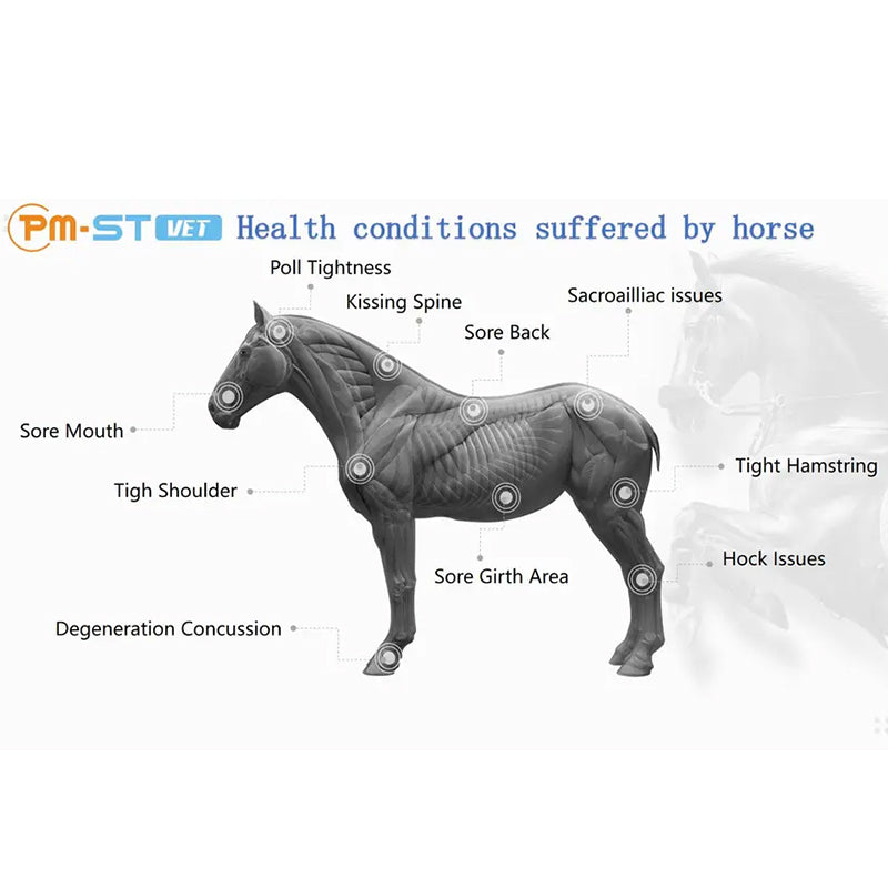 New animal equipment magnetic field gout pain relief treatment magnetic therapy magnetic therapy equipment