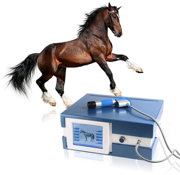 Hot pain treat Pneumatic shock wave treatment machine horse massage equipment for horse equine shockwave horse therapy machine