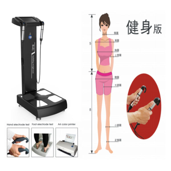 Body analyser composition analyzer with printer Professional full bodyfat analyser CE